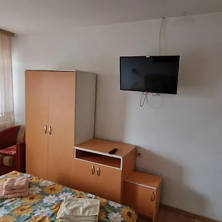 Vucic Apartament