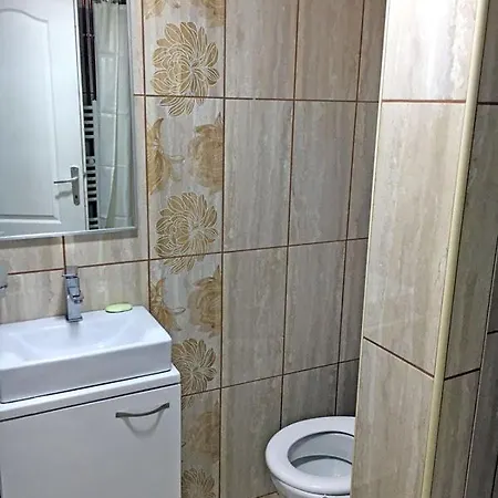 Vucic Apartament Sokobanja