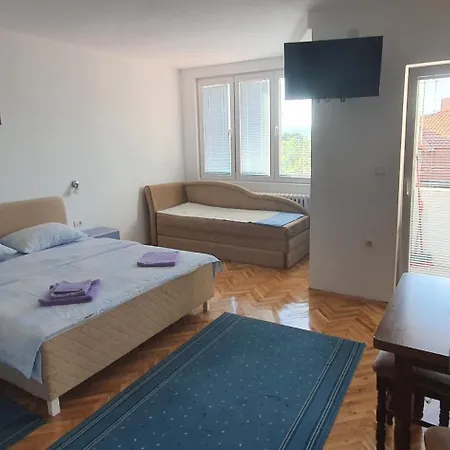 Apartament Vucic *