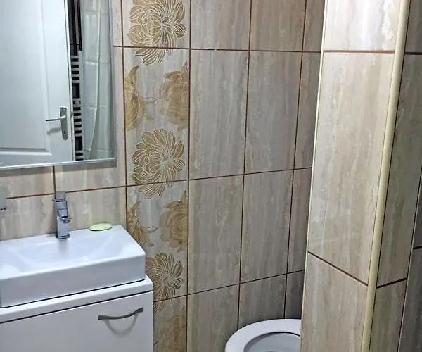 Vucic Lägenhet Soko Banja